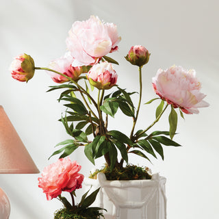 PEONY POTTED DROP-IN 18"