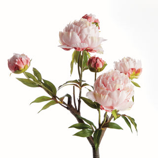 PEONY BRANCH 25"
