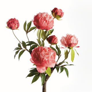 PEONY BRANCH 25"