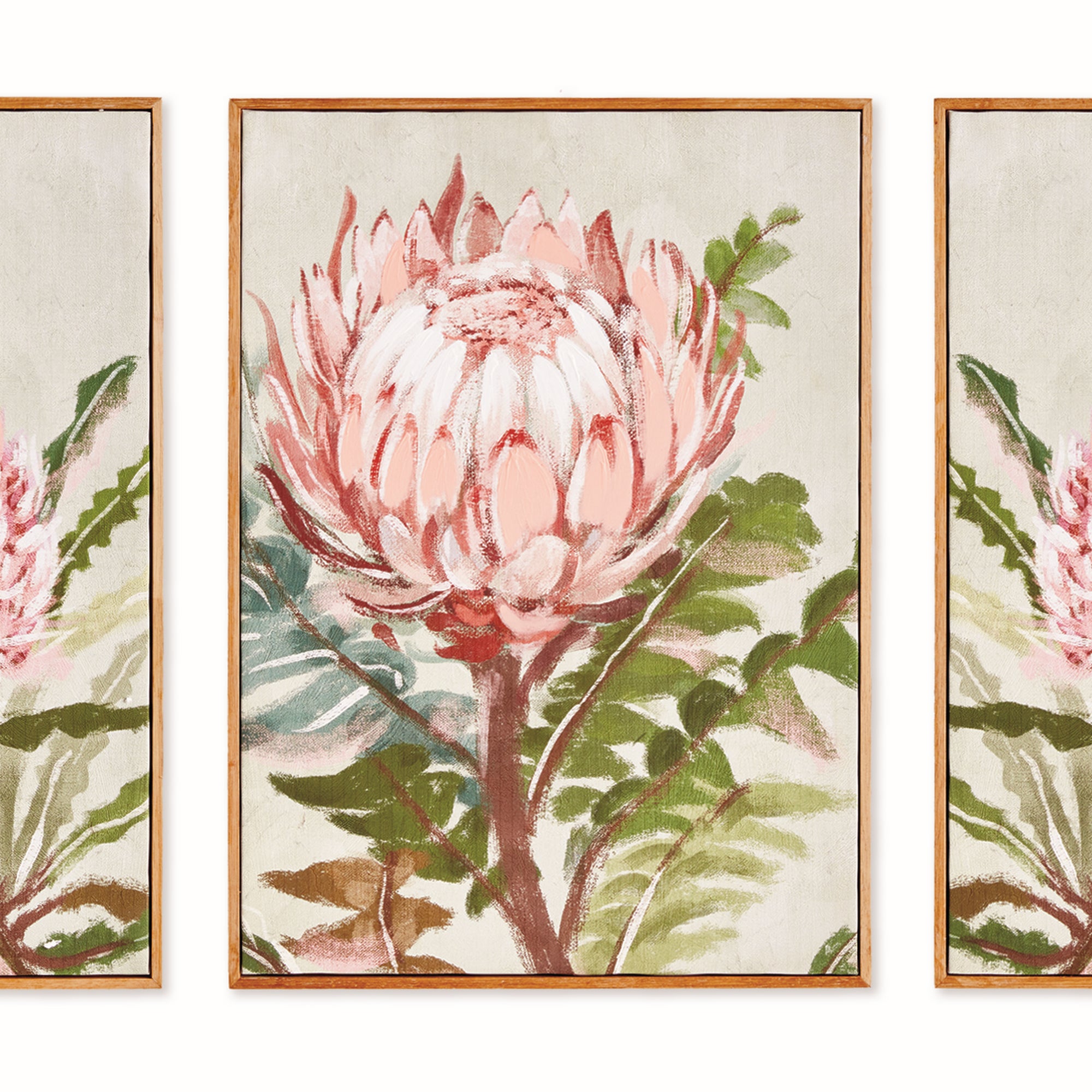 natea☺︎ QUEEN PROTEA GICLEES, SET OF 3 – Napa Home & Garden
