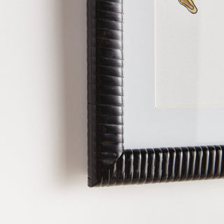 AUTUMNAL FRUIT PRINTS, SET OF 4