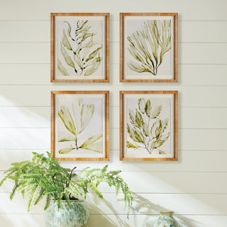 COASTAL GREENERY PRINTS, SET OF 4