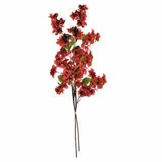 BOUGAINVILLEA  STEMS 54", BUNDLE OF 2