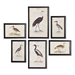 WATERFOWL GALLERY, SET OF 6
