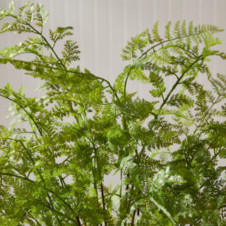 SOFT FERN DROP-IN 36"