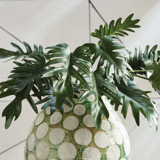 SPLIT LEAF SELLOUM STEMS, BUNDLE OF 2