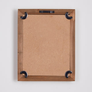 ASSORTED FROND STUDY PETITE, SET OF 6