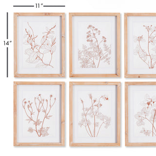 BOTANICALS IN BLUSH PRINTS, SET OF 6
