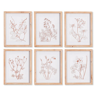 BOTANICALS IN BLUSH PRINTS, SET OF 6