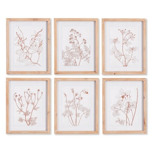 BOTANICALS IN BLUSH PRINTS, SET OF 6