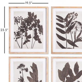 PRESSED FOLIAGE PRINTS, SET OF 4