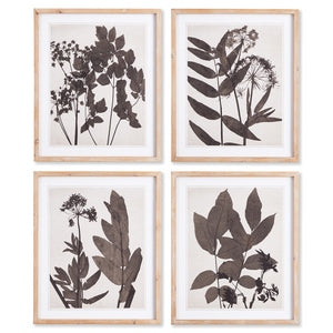 PRESSED FOLIAGE PRINTS, SET OF 4