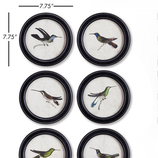 HUMMINGBIRD ROUND PETITE PRINTS, SET OF 6