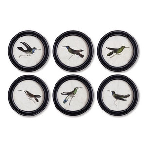 HUMMINGBIRD ROUND PETITE PRINTS, SET OF 6