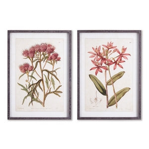 PRETTY IN PINK VINTAGE PRINTS, SET OF 2