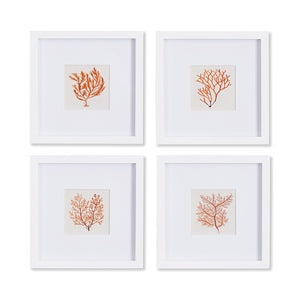 BRANCH CORAL PETITE PRINTS, SET OF 4