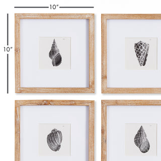 SEASHELL PETITE PRINTS, SET OF 4