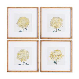 CHRYSANTHEMUM PRINTS, SET OF 4