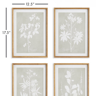 FOLIAGE STUDY, SET OF 4