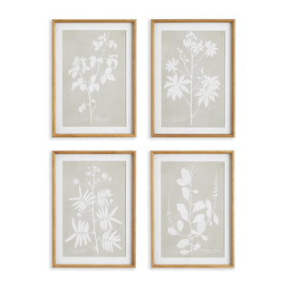 FOLIAGE STUDY, SET OF 4