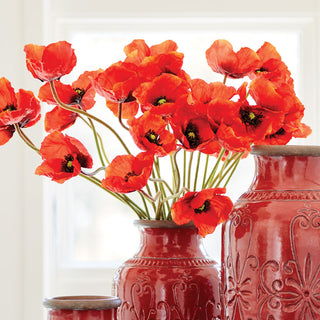 POPPIES 27", BUNDLE OF 6