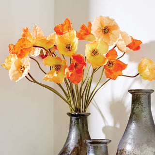 POPPIES 27", BUNDLE OF 6