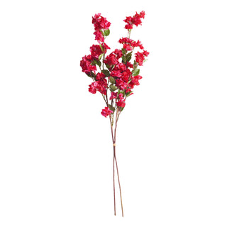 BOUGAINVILLEA STEMS 54", BUNDLE OF 2